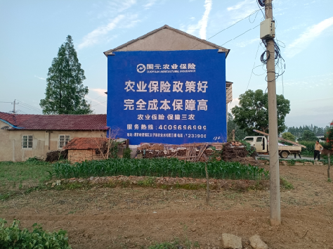 自贡墙体广告为何受追捧?