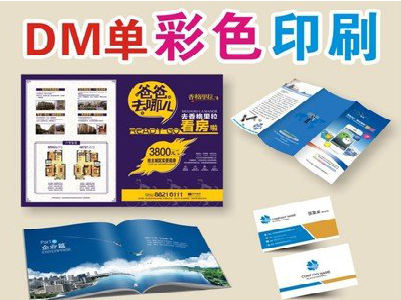 自贡单页印刷，色彩搭配简单。